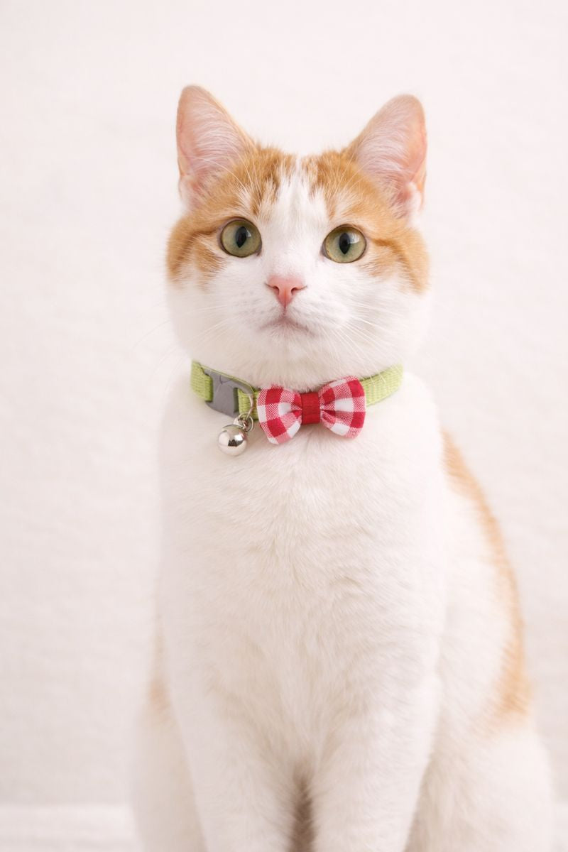 Bow Collar – Green